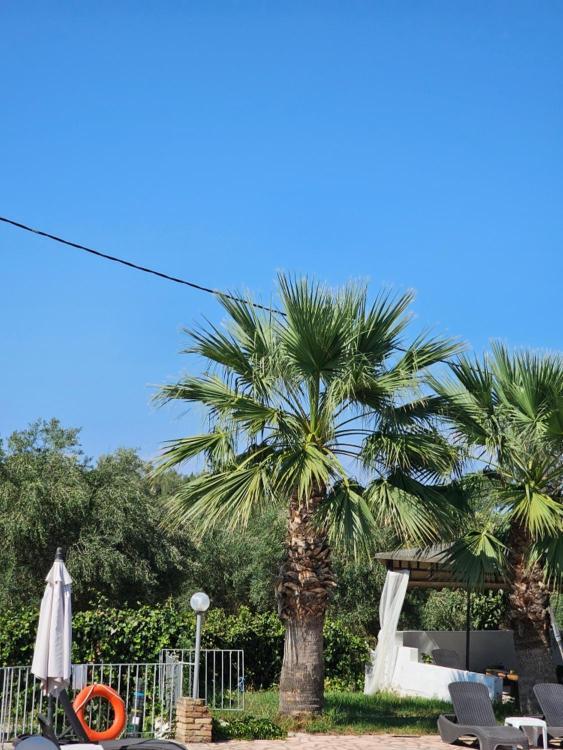 Palmyra Studios Kavos Ngoại thất bức ảnh